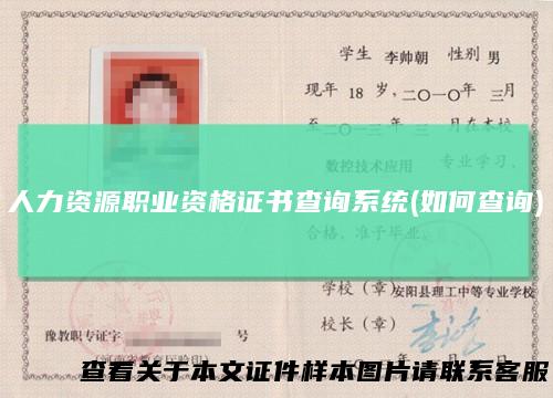 人力资源职业资格证书查询系统(如何查询)