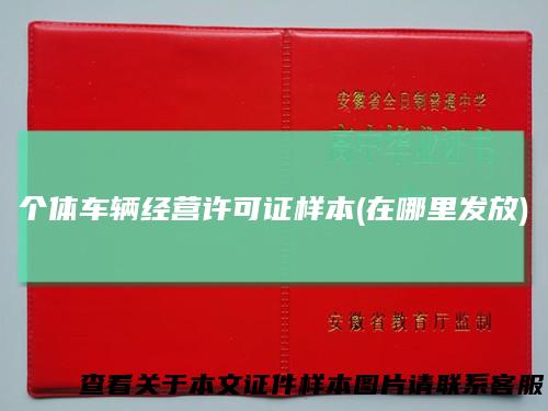 个体车辆经营许可证样本(在哪里发放)