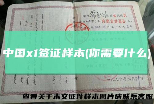 中国x1签证样本(你需要什么)