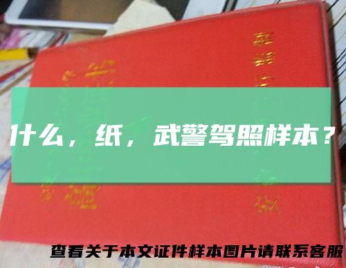 什么，纸，武警驾照样本？