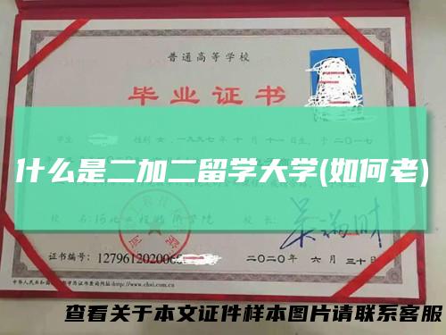 什么是二加二留学大学(如何老)