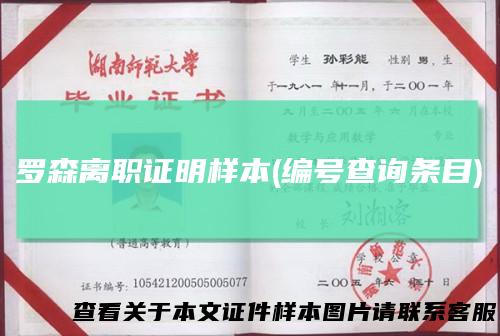 罗森离职证明样本(编号查询条目)