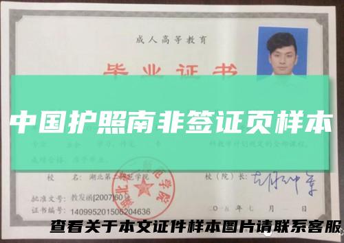 中国护照南非签证页样本
