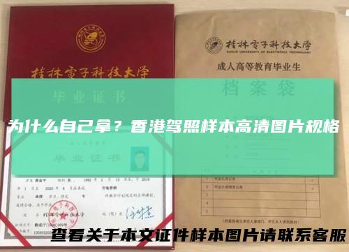 为什么自己拿？香港驾照样本高清图片规格