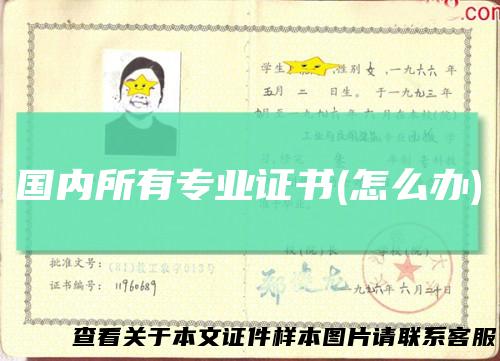 国内所有专业证书(怎么办)