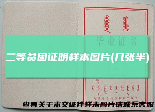二等贫困证明样本图片(几张半)