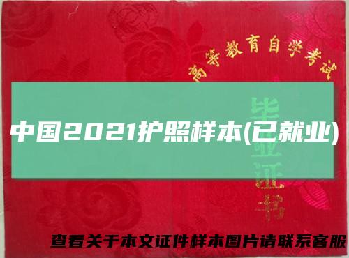 中国2021护照样本(已就业)
