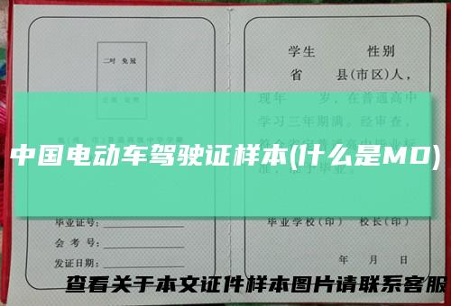 中国电动车驾驶证样本(什么是MD)