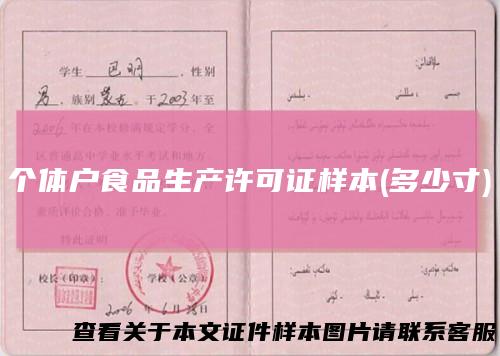 个体户食品生产许可证样本(多少寸)