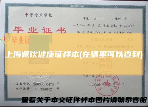 上海餐饮健康证样本(在哪里可以查到)