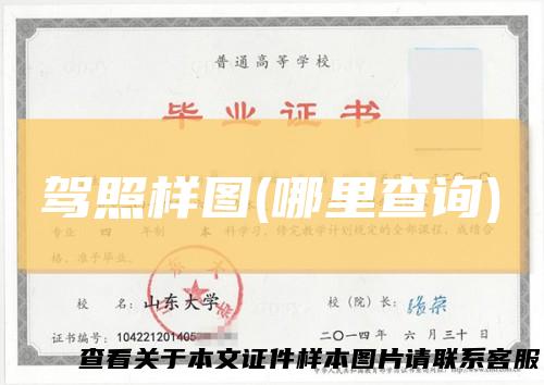 驾照样图(哪里查询)