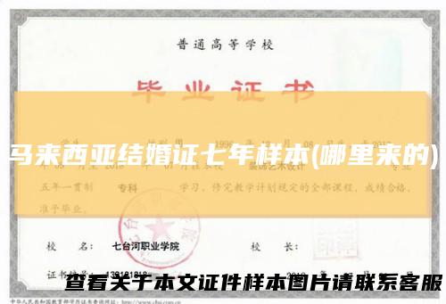 马来西亚结婚证七年样本(哪里来的)