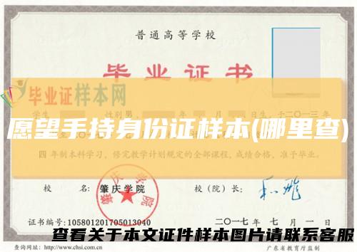 愿望手持身份证样本(哪里查)