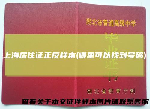 上海居住证正反样本(哪里可以找到号码)