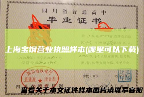 上海宝钢营业执照样本(哪里可以下载)