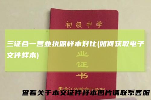 三证合一营业执照样本对比(如何获取电子文件样本)