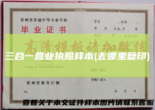三合一营业执照样本(去哪里复印)