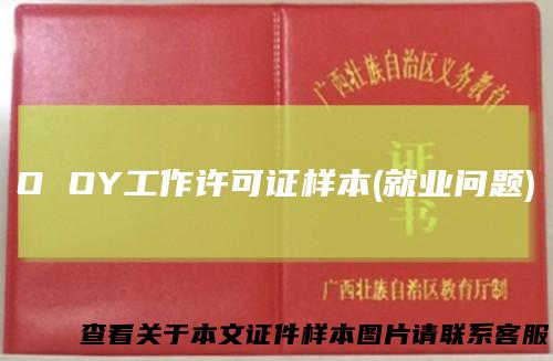 OOY工作许可证样本(就业问题)