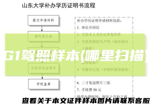 G1驾照样本(哪里扫描)