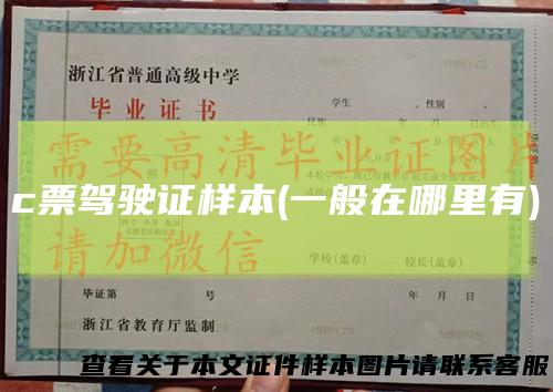 c票驾驶证样本(一般在哪里有)