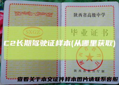 C2长期驾驶证样本(从哪里获取)