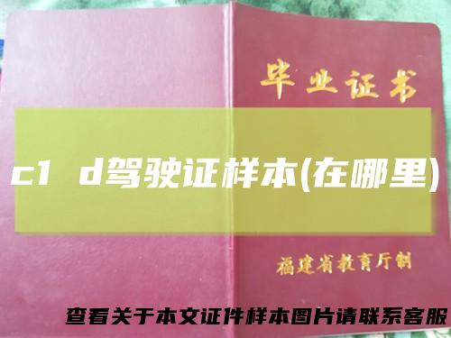 c1d驾驶证样本(在哪里)