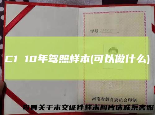 C1 10年驾照样本(可以做什么)
