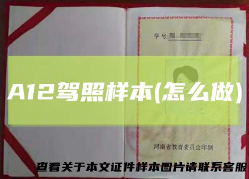 A12驾照样本(怎么做)