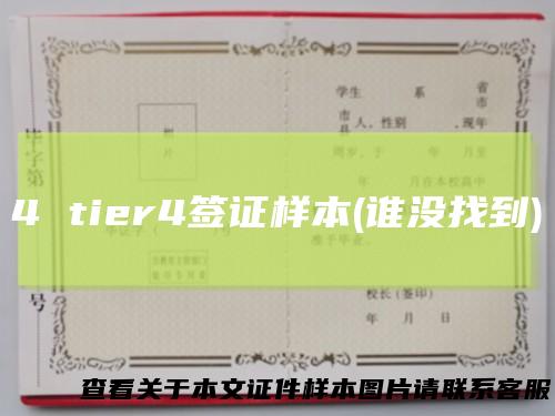 4tier4签证样本(谁没找到)