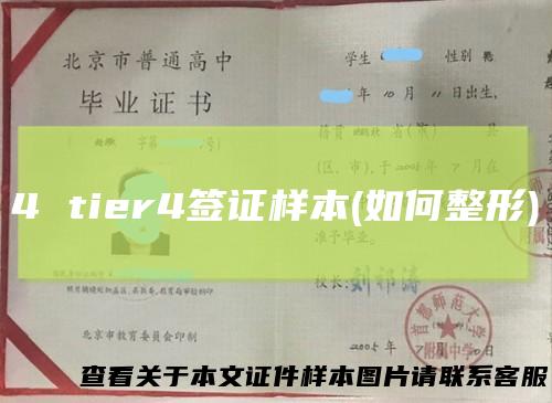 4tier4签证样本(如何整形)