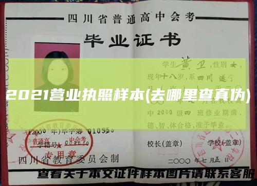 2021营业执照样本(去哪里查真伪)