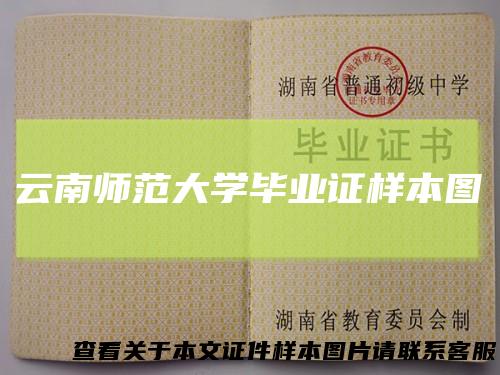 云南师范大学毕业证样本图