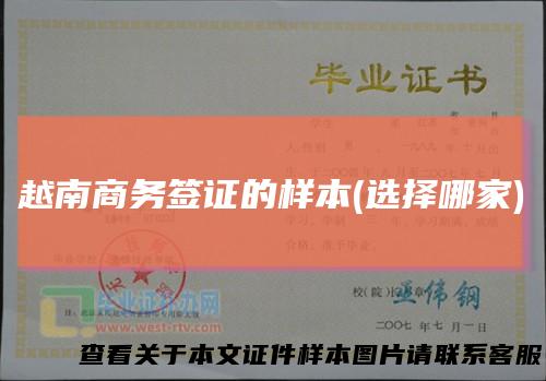 越南商务签证的样本(选择哪家)
