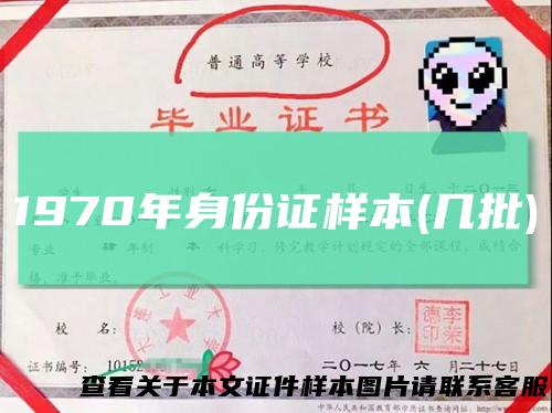 1970年身份证样本(几批)
