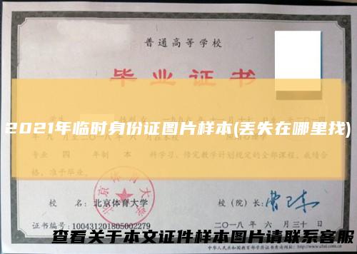 2021年临时身份证图片样本(丢失在哪里找)