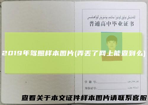2019年驾照样本图片(弄丢了网上能查到么)