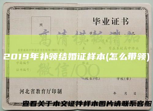2019年补领结婚证样本(怎么带领)