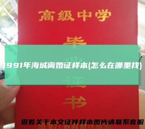 1991年海城离婚证样本(怎么在哪里找)