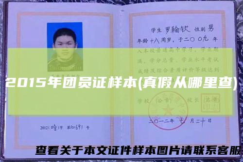 2015年团员证样本(真假从哪里查)
