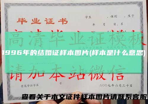1996年的结婚证样本图片(样本是什么意思)
