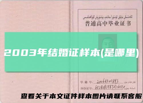 2003年结婚证样本(是哪里)