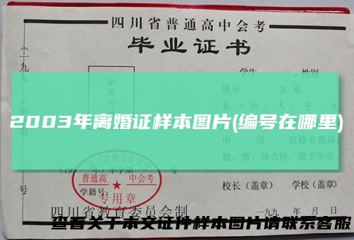 2003年离婚证样本图片(编号在哪里)