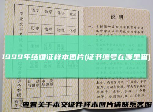 1999年结婚证样本图片(证书编号在哪里查)