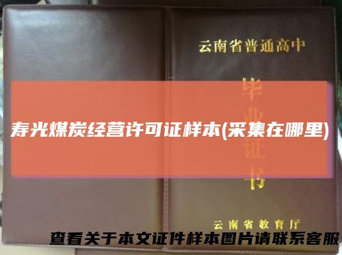 寿光煤炭经营许可证样本(采集在哪里)