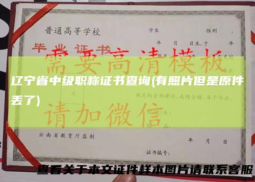 辽宁省中级职称证书查询(有照片但是原件丢了)