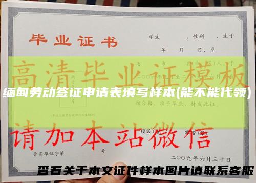缅甸劳动签证申请表填写样本(能不能代领)