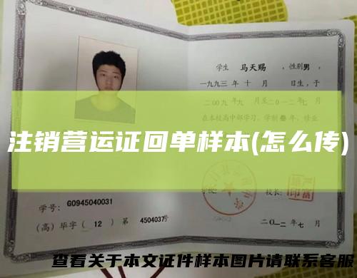 注销营运证回单样本(怎么传)