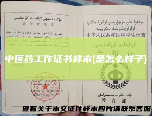 中医药工作证书样本(是怎么样子)
