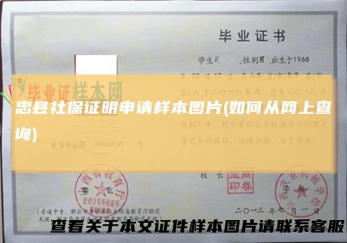 忠县社保证明申请样本图片(如何从网上查询)