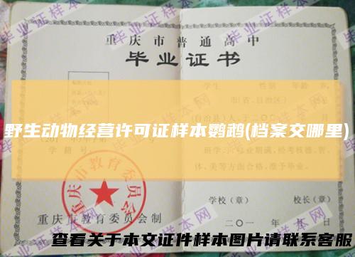 野生动物经营许可证样本鹦鹉(档案交哪里)